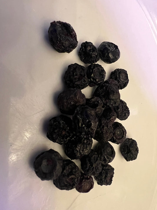 Fruit, Blueberries: Freeze-Dried