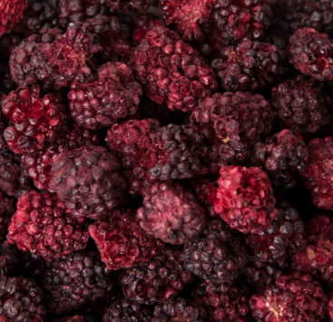 Fruit, Blackberries: Freeze-Dried